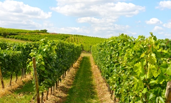 202009_galerie003