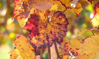 202009_galerie007