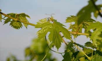 202009_galerie008