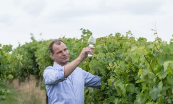 weingut-dengler-galerie-11