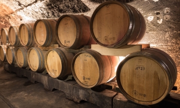 weingut-dengler-galerie-16