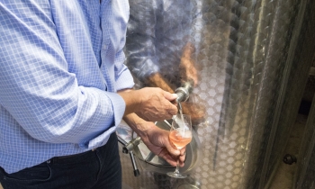 weingut-dengler-galerie-18