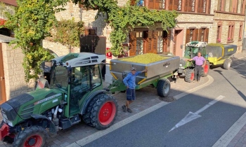 weinlese2020